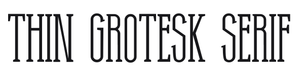 Thin Grotesk Serif preview