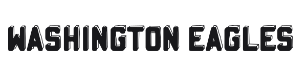 Washington Eagles preview
