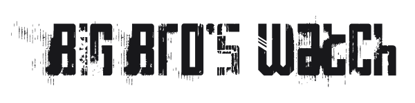 Big Bro's Watch preview