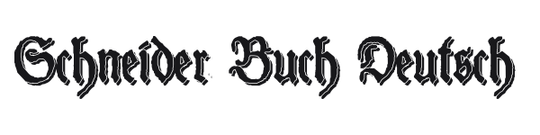 Schneider Buch Deutsch preview