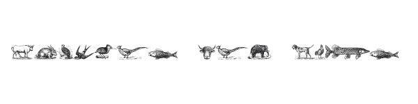 Animals Old Cuts preview