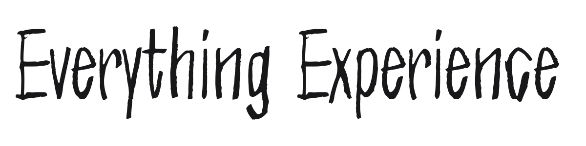 Everything Experience preview
