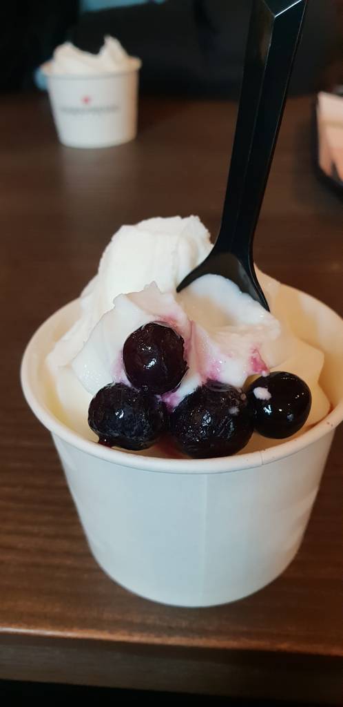 Meal photo: Frozen Yogurt with Blueberries