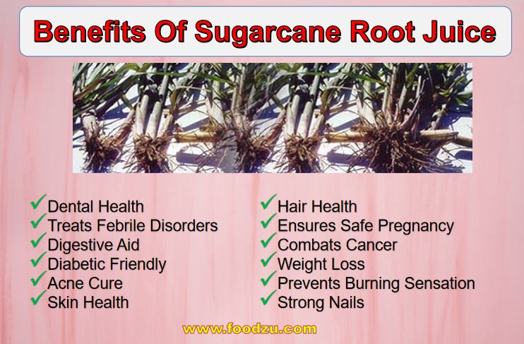 Benefits Of Sugarcane Root Juice