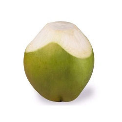 Tender Coconut - Medium 1 Pc