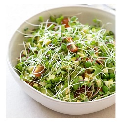 Microgreen Salad 280 Gm