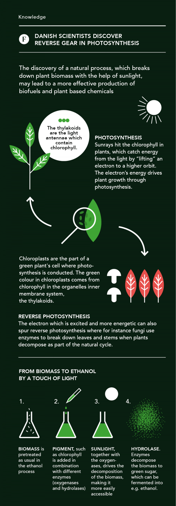 Biofuels