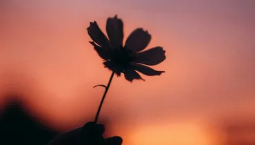 Every Pinch of Pain Has Purpose