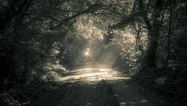 How Much of Christianity Remains a Secret?
