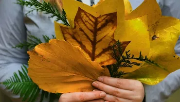 Christian Thankfulness: What It Is (and Isn’t)