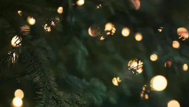 Four Reasons Christmas Is Special
