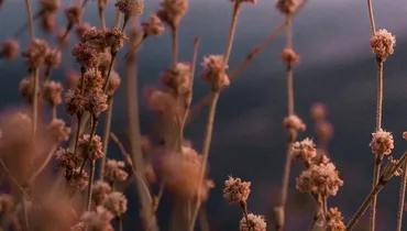 How Thanksgiving Shapes Your Life Story