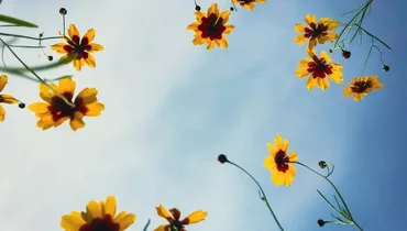 Six Reasons Jesus Left Earth After Easter