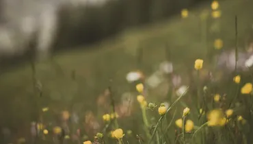 How Does God’s Joy Become My Joy?