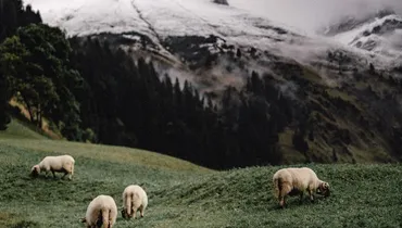 Christ’s Plan for the Globe — and You