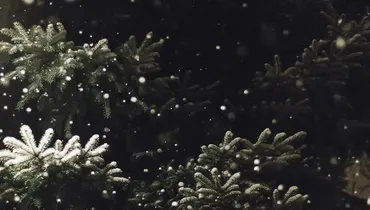 The Christmas We Needed