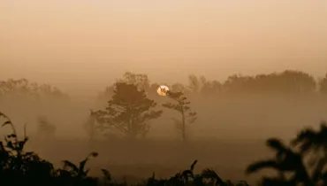 Does God Send ‘Strong Delusions’ into the World?