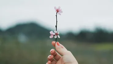 If Every Gift Comes from God, Why Thank Anyone Else?