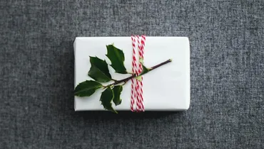 Why Is Christmas Precious to You?