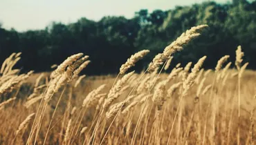 How Do We Pray in the Spirit?