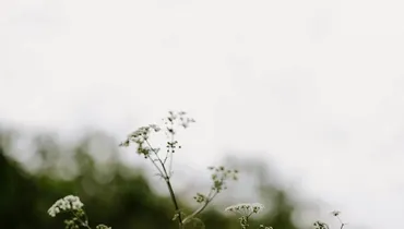 Why Comfortable Christians Go Prayerless