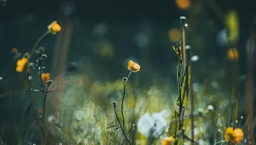 Why Do You Want to Be Loved by God?