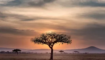 Why Have Africans Suffered So Much?