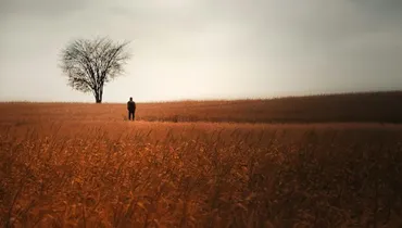 Should I Ever Pursue My Dreams?