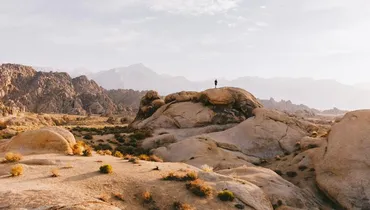 Am I Completely Surrendered to Christ?