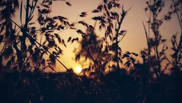 Is My Suffering a Correction for Sin?