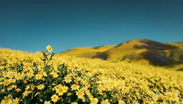 Is Enjoying God the Same as Glorifying God?