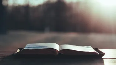 Ten Reasons to Read the Bible Every Day