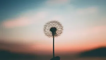 How Do I Find Freedom from Worry?