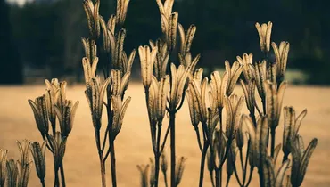 Am I Living by Faith or Unbelief?