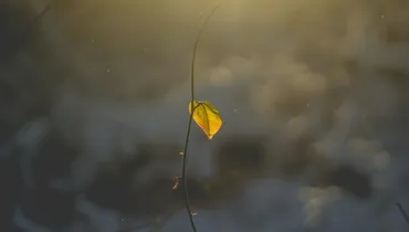 I’m Afraid of Surrendering to Christ — What Can I Do?