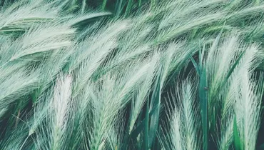 How Do I Know If the Holy Spirit Is in Me?