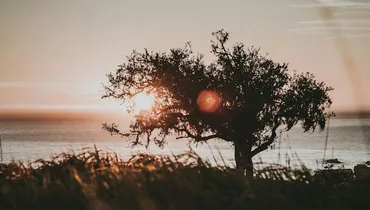 What’s Next for an Aging Pastor?