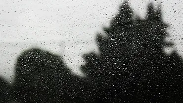 How Do I Care for My Depressed Wife?