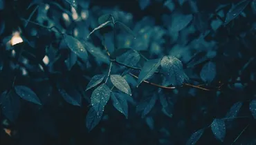 How Do I Battle Subtle Temptations to Lust?