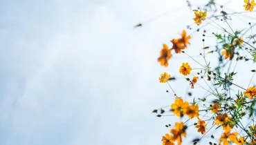 Are Christians Righteous or Unrighteous?