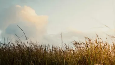 Why Is It Better That Christ Went Away (John 16:7)?