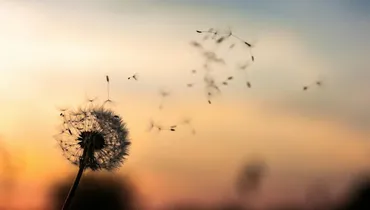 My Joy Is So Short-Lived — How Do I Make It Last?