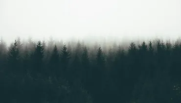 Does Depression Disqualify a Pastor?