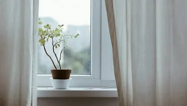 How to Win the War for Morning Devotions