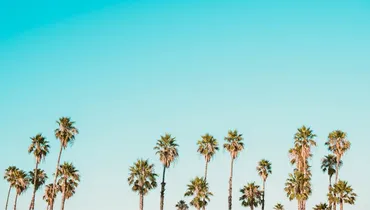 How Much Joy Can We Really Expect in This Life?