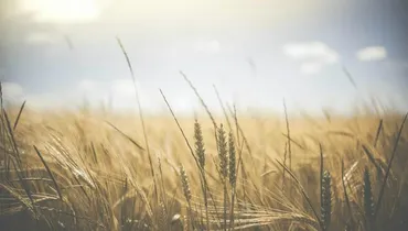 Does John Piper Add (Joy) to the Gospel?
