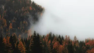 The Secret to Fighting Anxiety
