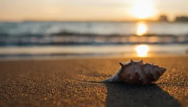 Reflections on the Seashells Sermon, 18 Years Later