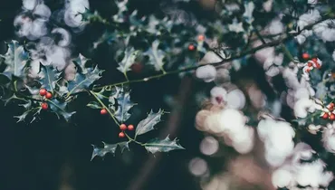 Keep Close to the Heart of Christmas