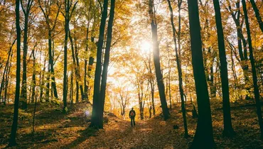 To Live Is Christ — What Does That Mean?